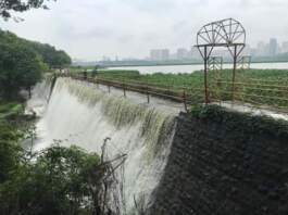 Powai Lake overflow today news: Read the important information