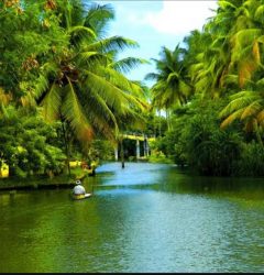 8 best places in Kerala