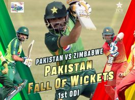 pakistan vs zimbabwe 2020, zimbabwe vs pakistan, pak vs zim, pakistan cricket, pak vs zim 2020, Babar Azam (capt), Imam-ul-Haq, Fakhar Zaman, Haider Ali, Mohammad Rizwan, Iftikhar Ahmed, Khushdil Shah, Shaheen Shah Afridi, Mohammad Hasnain, Wahab Riaz, Musa Khan