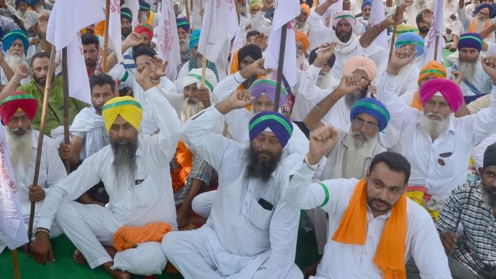 Punjab Farmers Kali Diwali