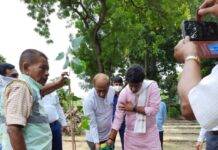 NDMC Members plant the saplings of Peepal at Purana Quila Road