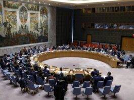 US Congress wants Russia out of UN Security Council