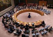 Japan elected to UN Security Council, will replace India next year