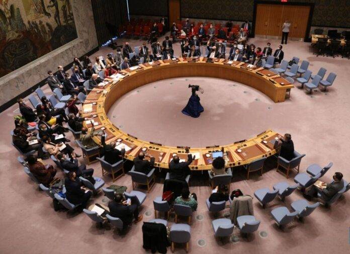 Japan elected to UN Security Council, will replace India next year