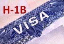 Lower H-1B visa cap hitting employers: Study